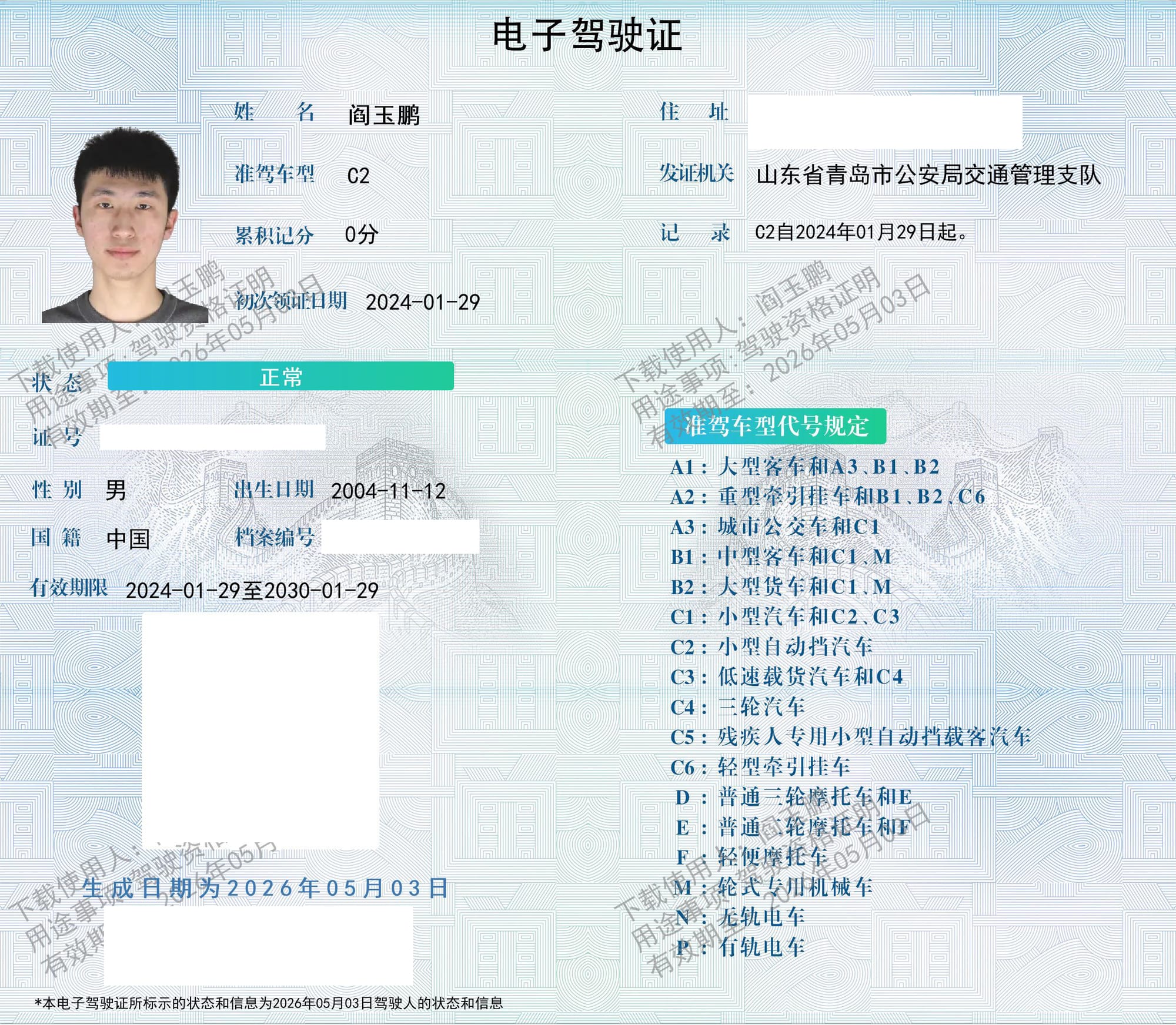 电子驾驶证